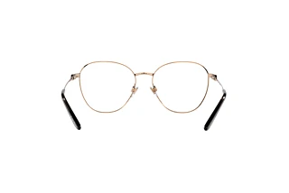 Bagside Ralph Lauren RL5117 (9350)