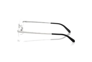 Sidevisning Ralph Lauren RL5134 (9001)