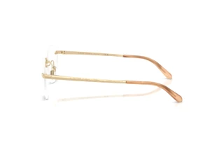 Sidevisning Ralph Lauren RL5134 (9116)