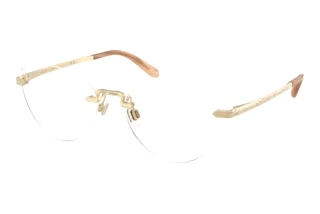 Forfra Ralph Lauren RL5134 (9116)