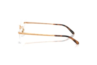 Sidevisning Ralph Lauren RL5134 (9153)