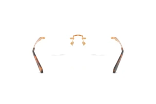 Bagside Ralph Lauren RL5134 (9153)