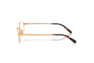 Sidevisning Ralph Lauren RL5140 (9153)