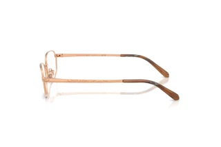 Sidevisning Ralph Lauren RL5140 (9329)