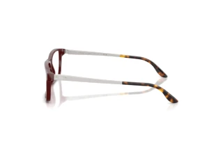 Sidevisning Ralph Lauren RL6128 (6311)