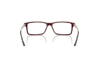 Bagside Ralph Lauren RL6128 (6311)