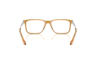 Bagside Ralph Lauren RL6133 (5275)