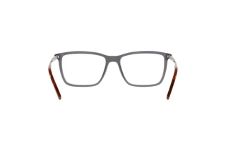 Bagside Ralph Lauren RL6183 (5322)