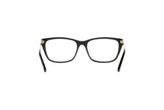 Bagside Ralph Lauren RL6206 (5001)