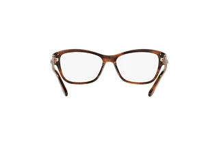 Bagside Ralph Lauren RL6210Q (5007)