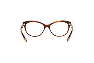Bagside Ralph Lauren RL6216U (5007)