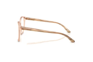 Sidevisning Ralph Lauren RL6222 (6110)