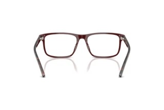 Bagside Ralph Lauren RL6225U (6311)