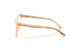 Sidevisning Ralph Lauren RL6232U (6110)