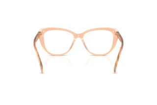 Bagside Ralph Lauren RL6232U (6110)