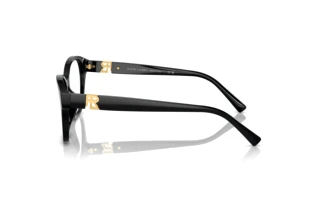 Sidevisning Ralph Lauren RL6236U (5001)