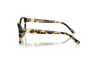 Sidevisning Ralph Lauren RL6236U (5004)