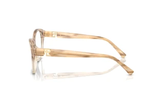 Sidevisning Ralph Lauren RL6236U (6111)