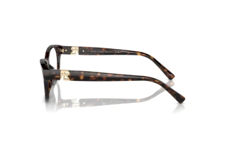 Sidevisning Ralph Lauren RL6237U (5003)