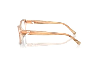 Sidevisning Ralph Lauren RL6237U (6110)