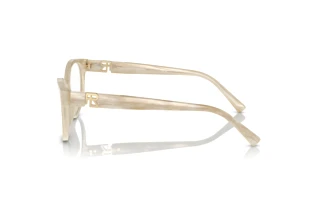 Sidevisning Ralph Lauren RL6238U (6107)