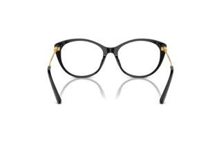 Bagside Ralph Lauren RL6239U (5001)