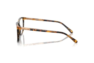 Sidevisning Ralph Lauren RL6242U (5134)