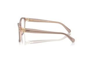 Sidevisning Ralph Lauren RL6243 (6182)