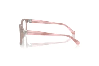 Sidevisning Ralph Lauren RL6243 (6183)