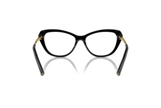 Bagside Ralph Lauren RL6245 (5001)