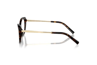 Sidevisning Ralph Lauren RL6245 (5003)