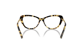 Bagside Ralph Lauren RL6245 (5004)