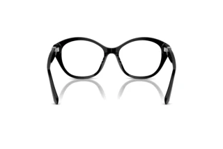 Bagside Ralph Lauren RL6246U (5001)