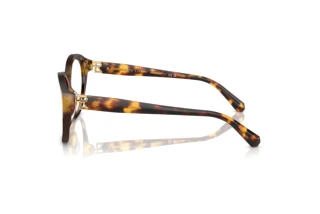 Sidevisning Ralph Lauren RL6246U (5134)