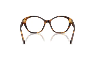 Bagside Ralph Lauren RL6246U (5134)