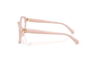 Sidevisning Ralph Lauren RL6246U (6053)