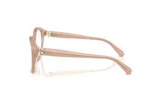 Sidevisning Ralph Lauren RL6246U (6217)