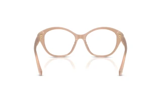 Bagside Ralph Lauren RL6246U (6217)