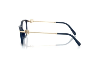 Sidevisning Ralph Lauren RL6247U (6215)