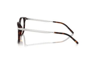 Sidevisning Ralph Lauren RL6248U (5003)