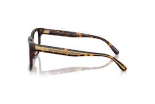 Sidevisning Ralph Lauren RL6249U (5003)
