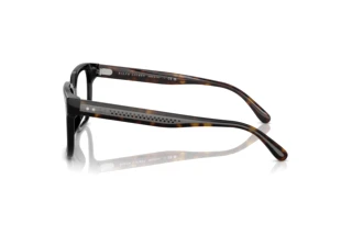 Sidevisning Ralph Lauren RL6249U (5241)