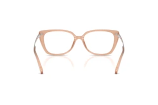 Bagside Ralph Lauren RL6250U (6242)