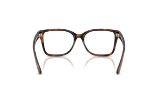 Bagside Ralph Lauren RL6251U (6241)