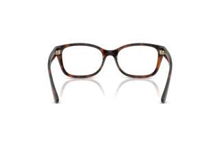 Bagside Ralph Lauren RL6252U (6241)