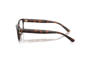 Sidevisning Ralph Lauren RL6254U (6241)