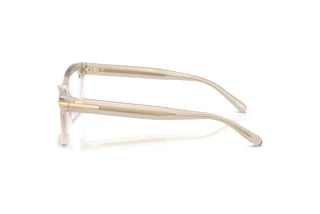 Sidevisning Ralph Lauren RL6255U (6112)