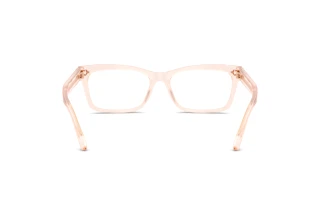 Bagside Ralph Lauren RL6255U (6305)