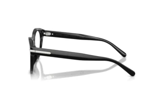 Sidevisning Ralph Lauren RL6256U (5001)