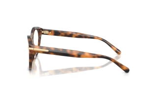Sidevisning Ralph Lauren RL6256U (6089)